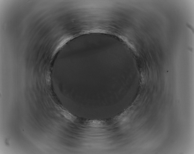 X0000098131266200804241641