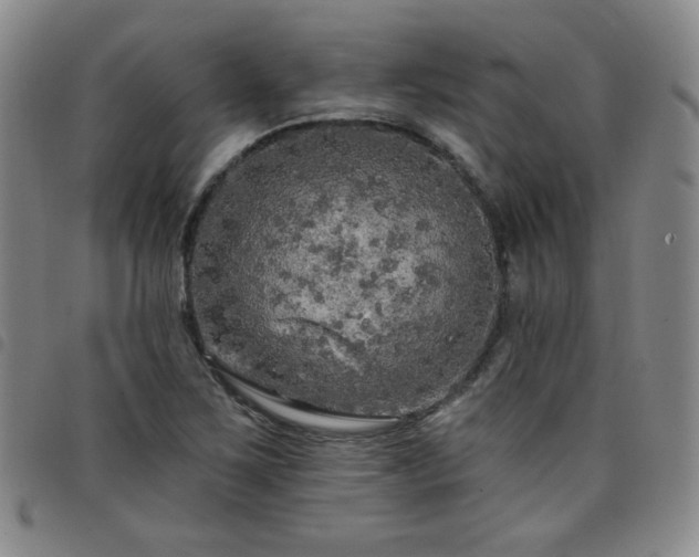 X0000098131267200804241641