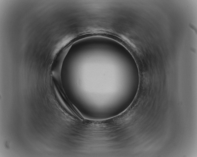 X0000098131269200804241641