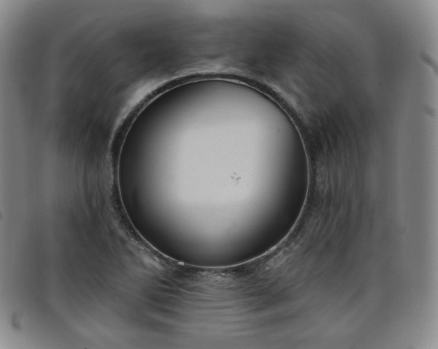 X0000098131270200804241641