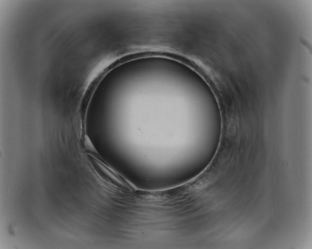 X0000098131271200804241641