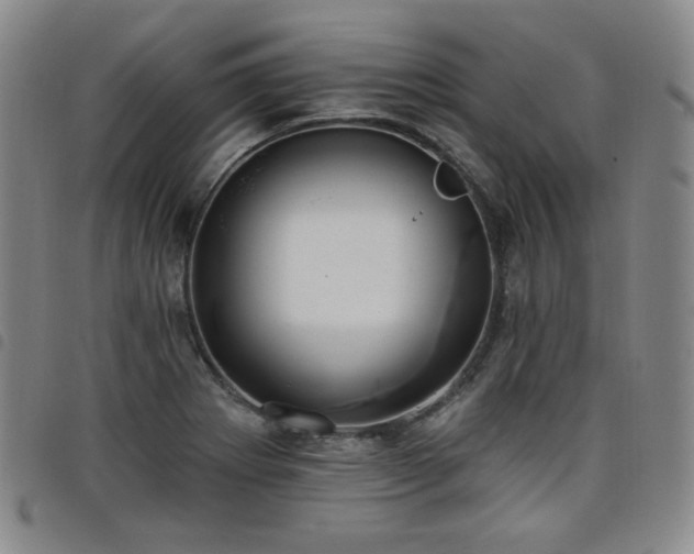 X0000098131273200804241641