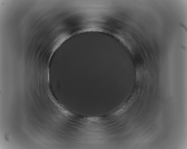 X0000098131274200804241641
