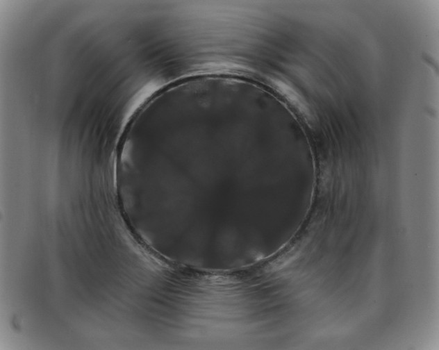 X0000098131275200804241641