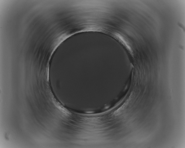 X0000098131276200804241641