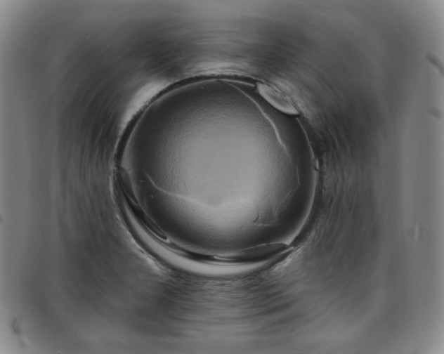 X0000098131277200804241641