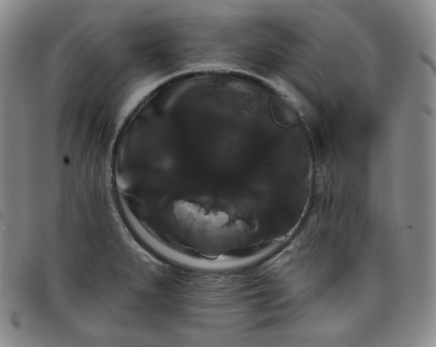 X0000098131279200804241641