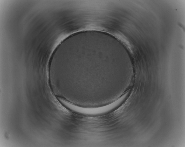 X0000098131280200804241641