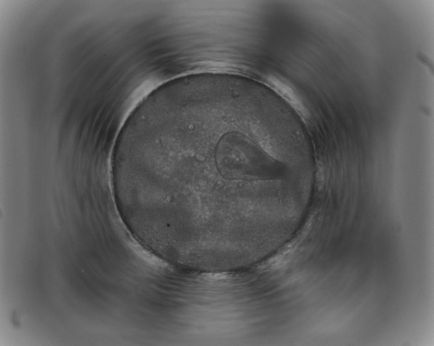X0000098131283200804241641