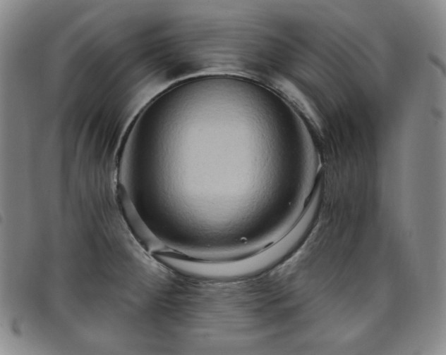 X0000098131284200804241641