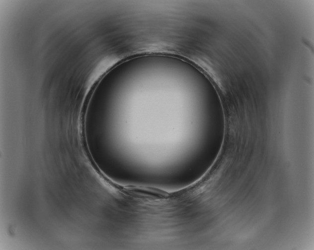 X0000098131285200804241641
