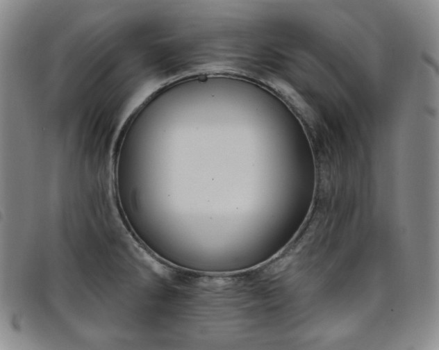 X0000098131286200804241641