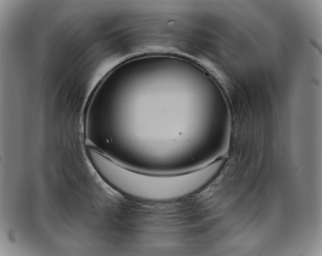 X0000098131287200804241641