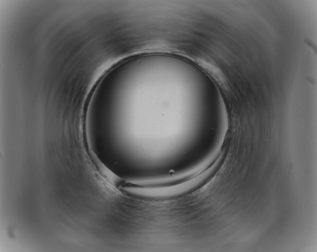X0000098131288200804241641