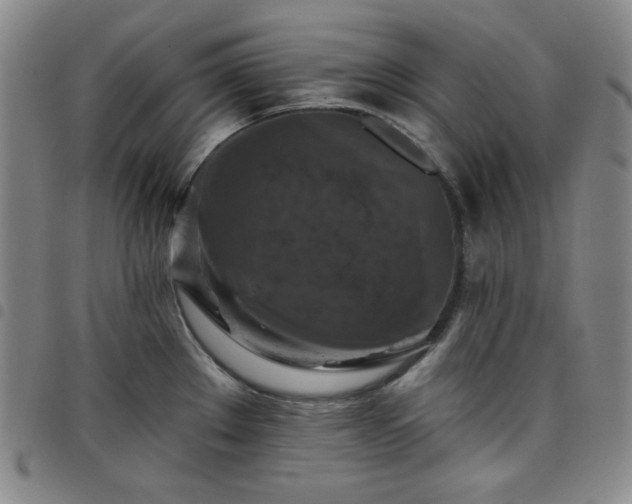 X0000098131289200804241641