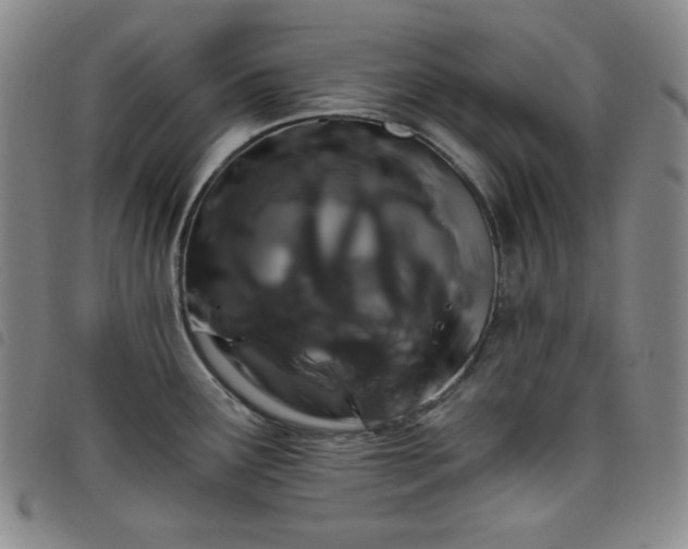 X0000098131291200804241640