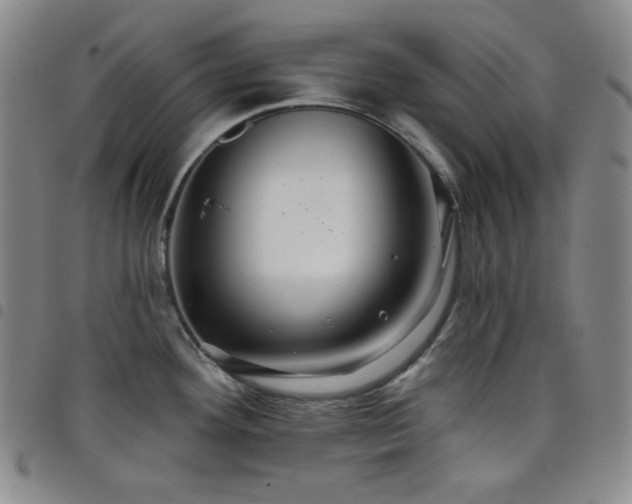 X0000098131292200804241640