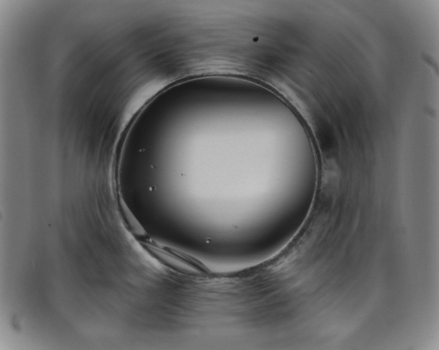 X0000098131293200804241640
