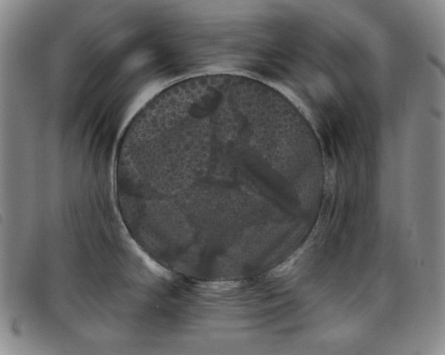 X0000098131294200804241640