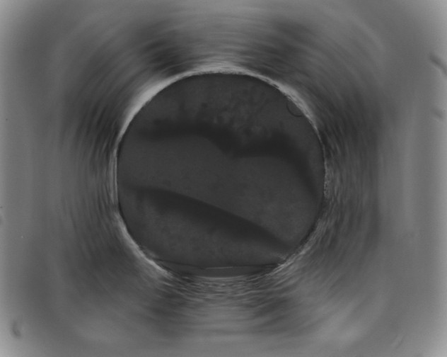 X0000098131295200804241640