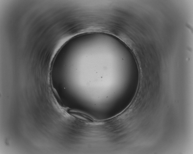 X0000098131296200804241640