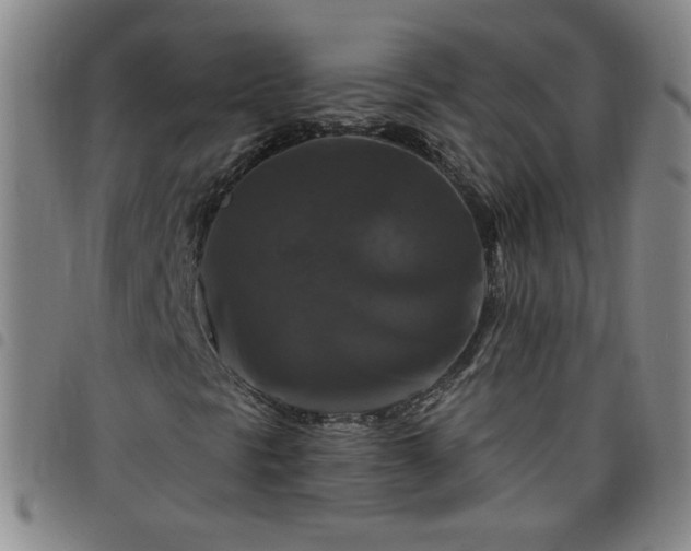 X0000098131297200804241640