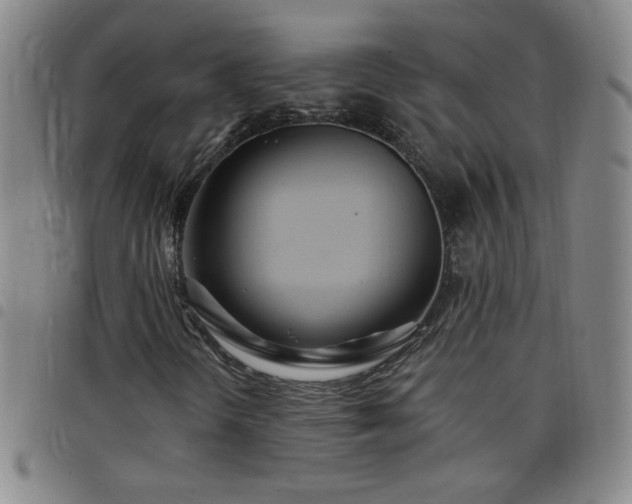 X0000098131298200804241640