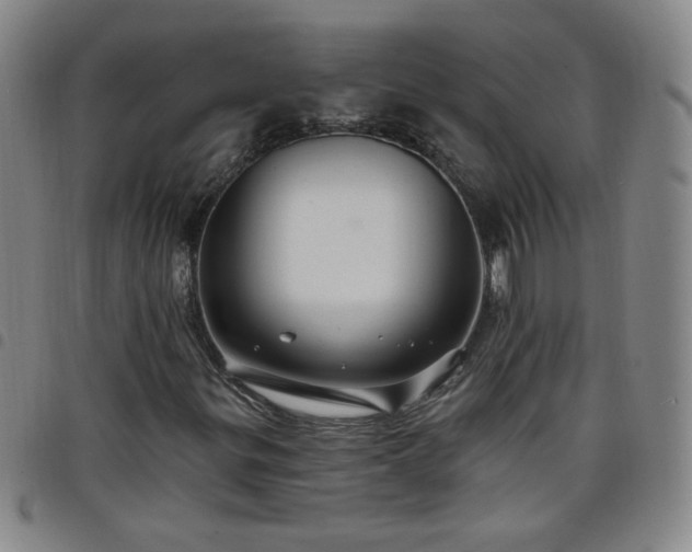 X0000098131299200804241640