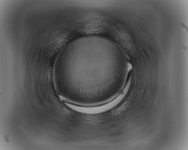 X0000098131300200804241640