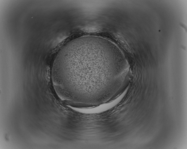 X0000098131301200804241640