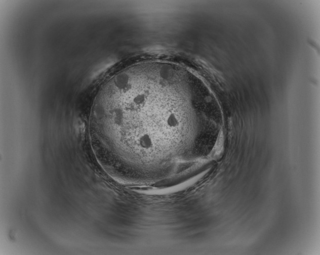 X0000098131302200804241640