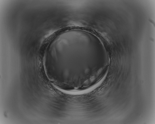 X0000098131303200804241640