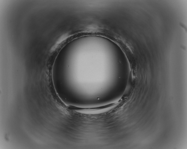 X0000098131304200804241640