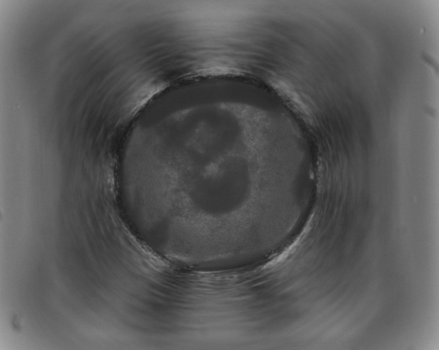 X0000098131305200804241640