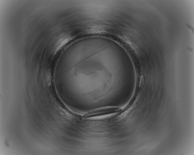 X0000098131306200804241640