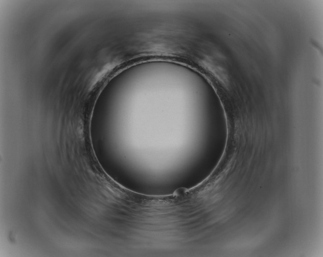 X0000098131307200804241640