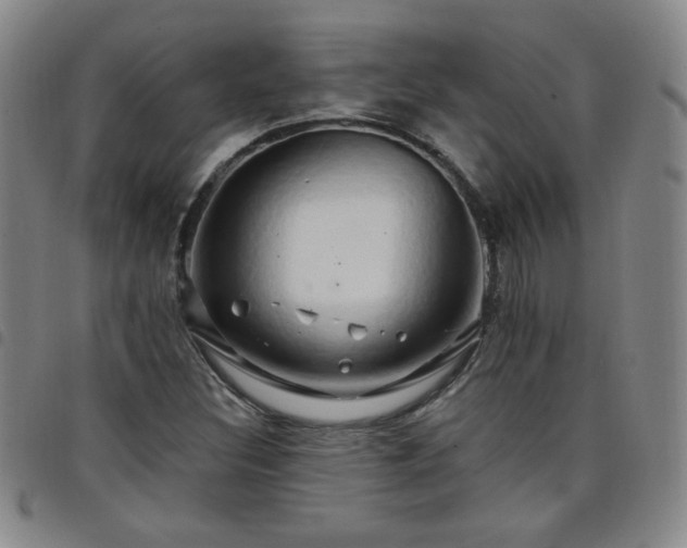 X0000098131308200804241640
