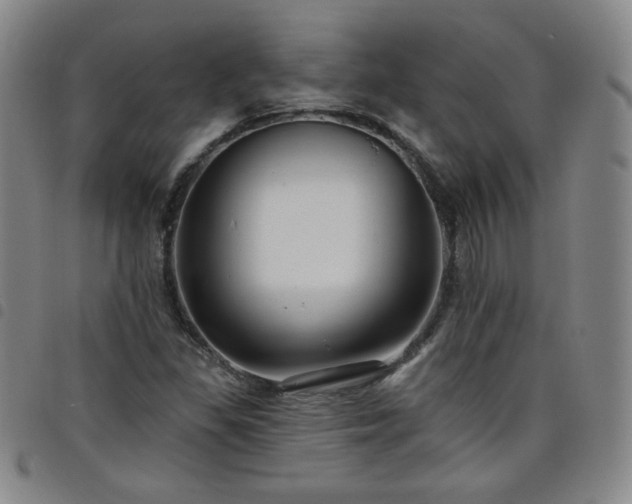 X0000098131309200804241640