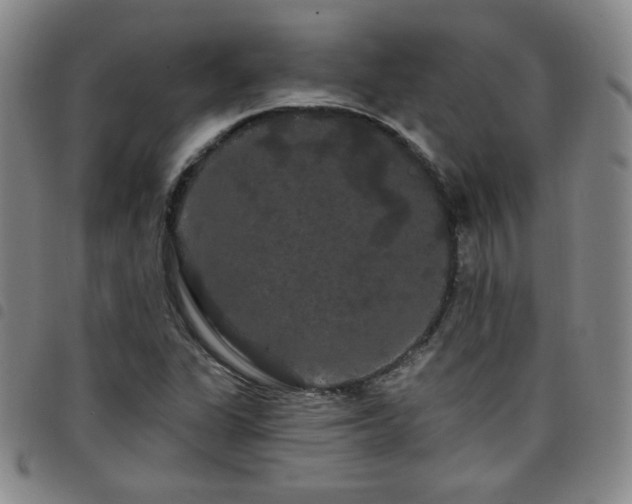 X0000098131311200804241640