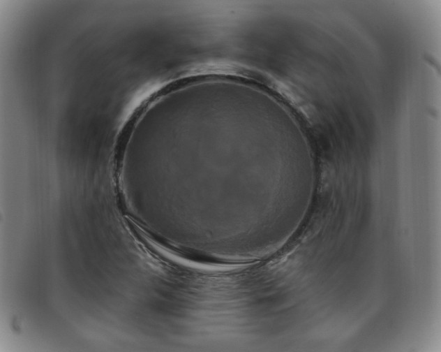X0000098131312200804241640