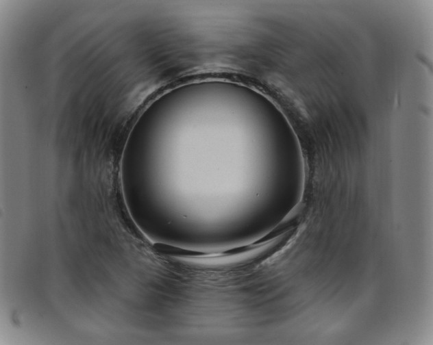 X0000098131313200804241640