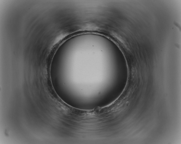 X0000098131315200804241640
