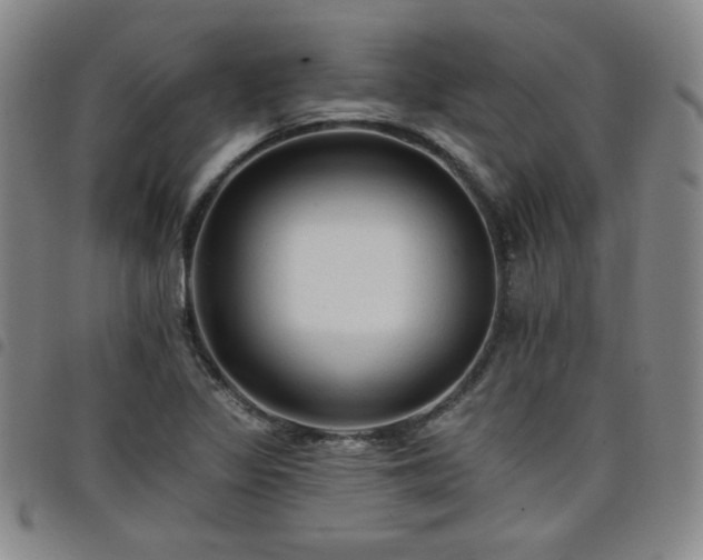 X0000098131317200804241640