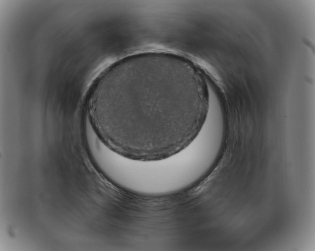 X0000098131318200804241640