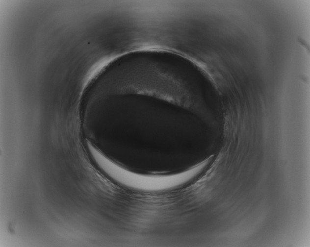 X0000098131319200804241640