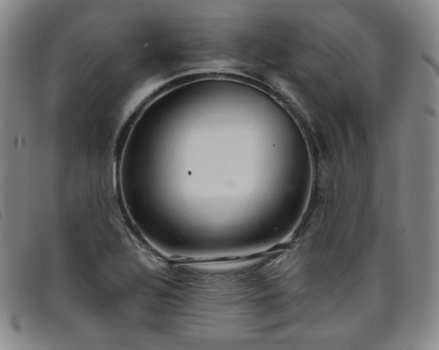 X0000098131320200804241640