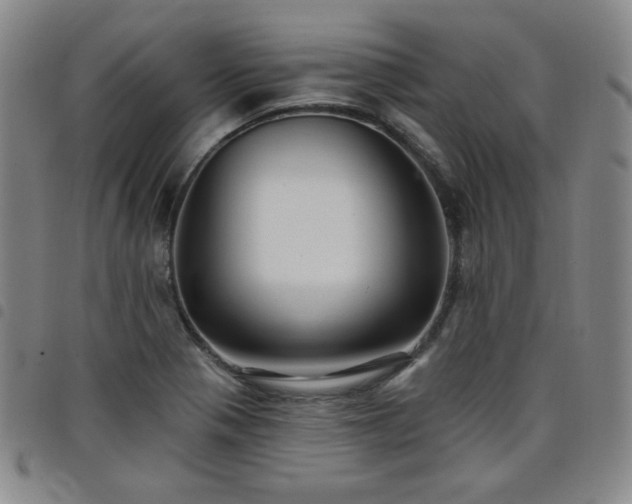 X0000098131321200804241640