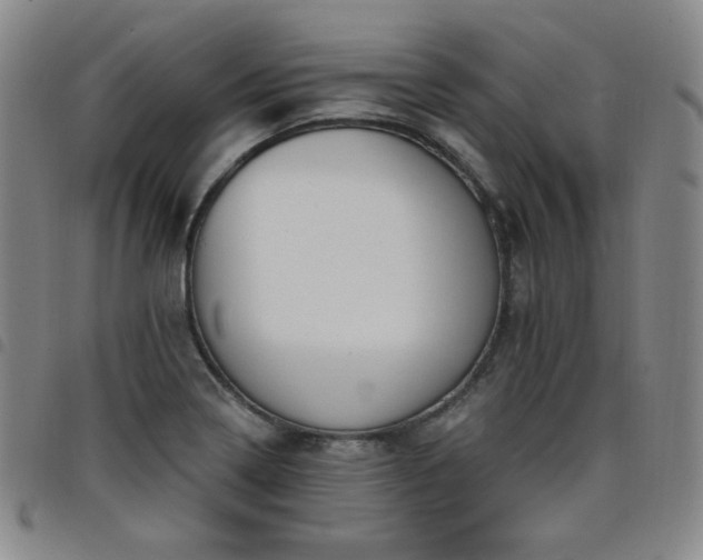 X0000098131322200804241640