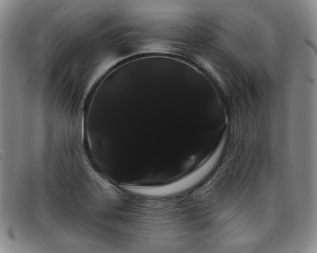 X0000098131323200804241640