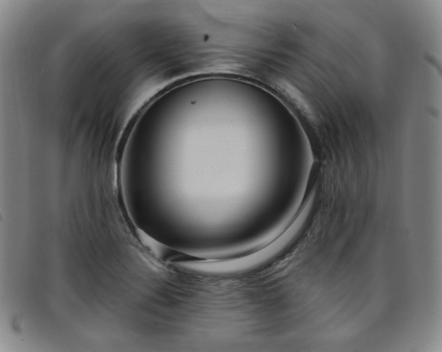 X0000098131324200804241640